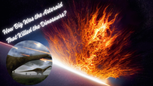Read more about the article How Big Was the Asteroid That Killed the Dinosaurs?