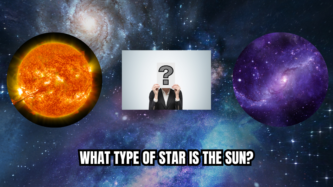 What Type of Star is the Sun