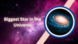 Read more about the article Biggest Star in the Universe: A Journey to the Cosmic Giant: