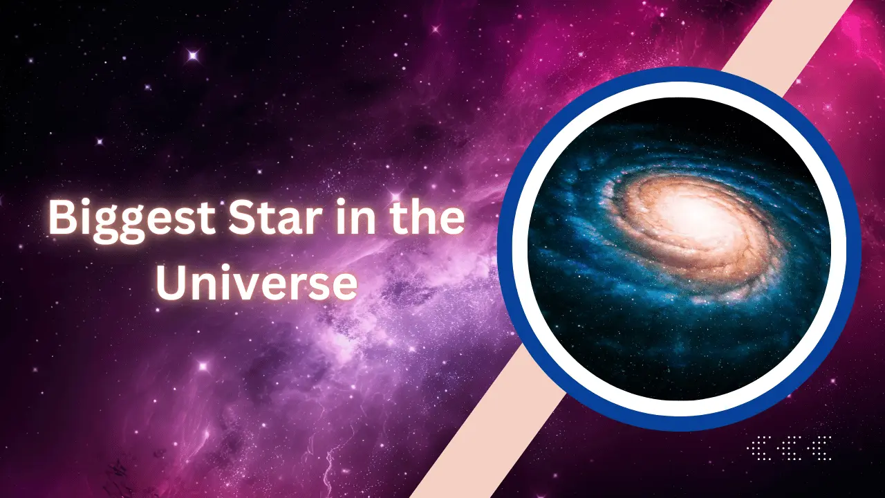 Biggest Star in the Universe