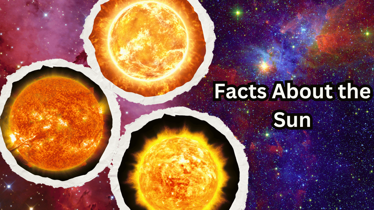 Facts About the Sun